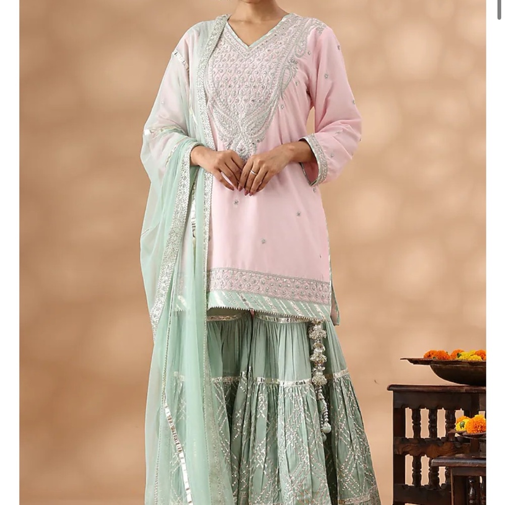 NWT Elegant Pink and Green Lehenga / size M